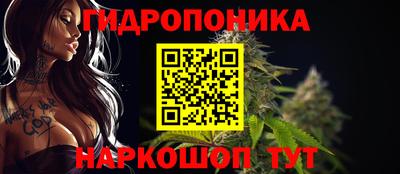 spice Дубна