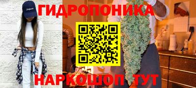 spice Дубна