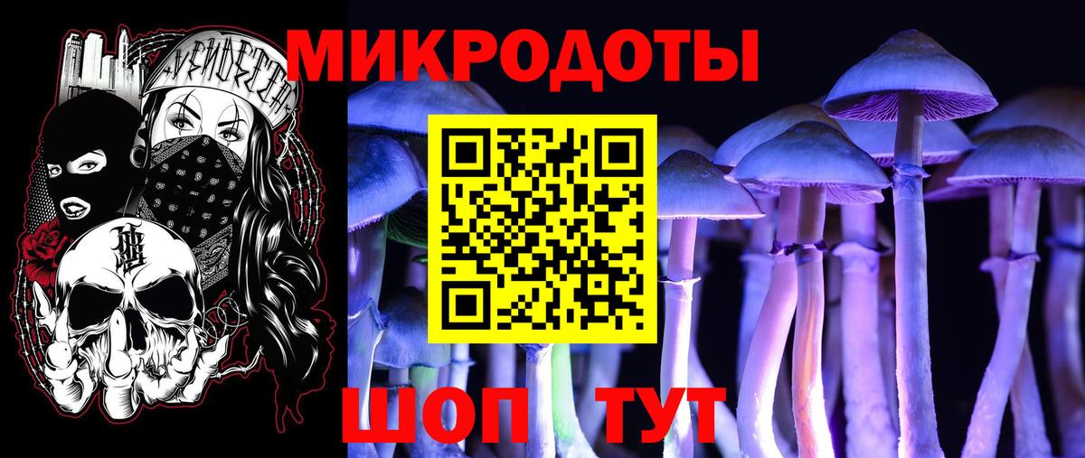 Кыштым  Псилоцибиновые грибы прущие грибы  Вход с VPN 